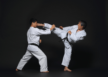 mixed-martial-arts